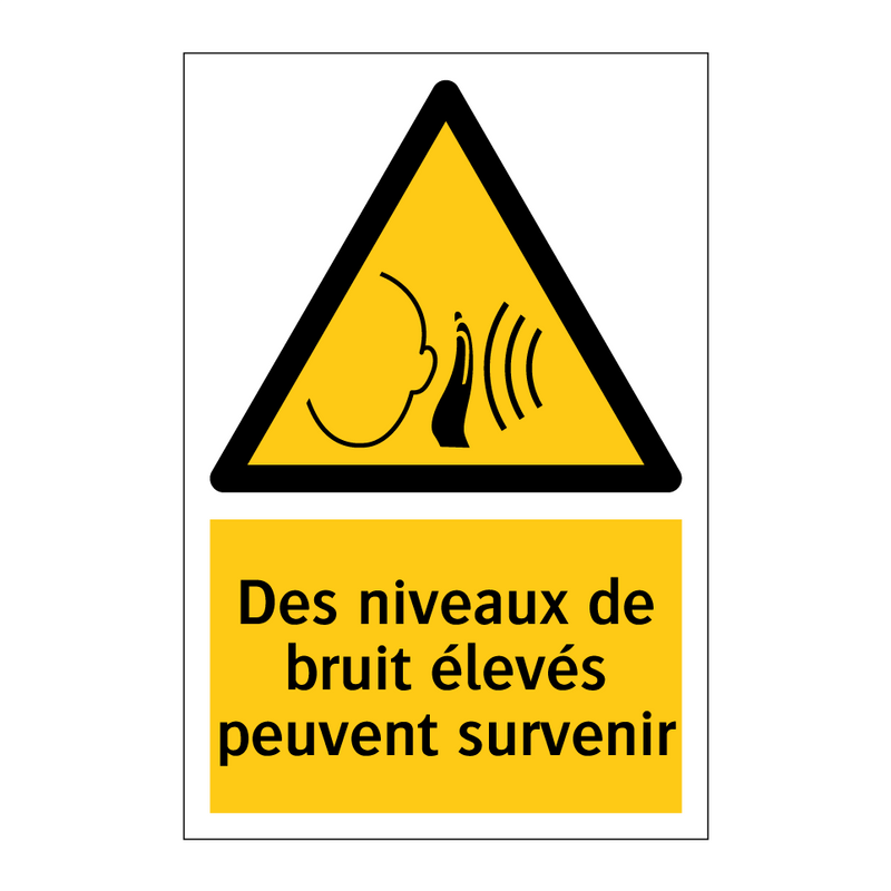 Des niveaux de bruit élevés peuvent survenir