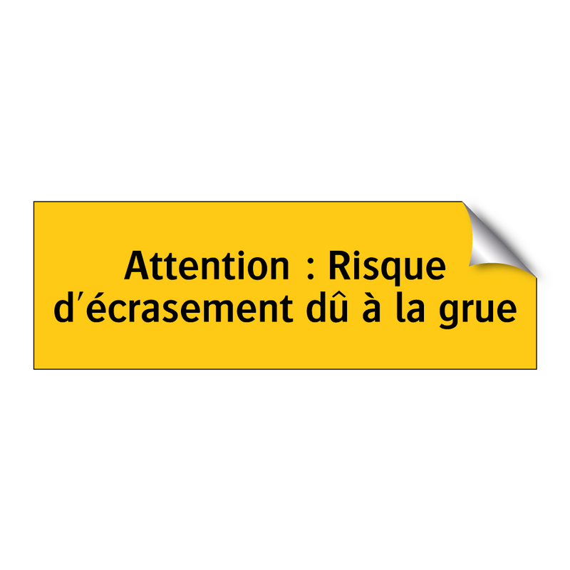 Attention : Risque d'écrasement dû à la grue