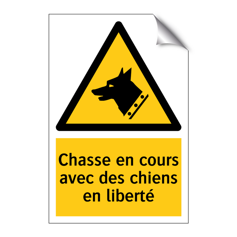 Chasse en cours avec des chiens en liberté