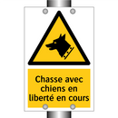 Chasse avec chiens en liberté en cours