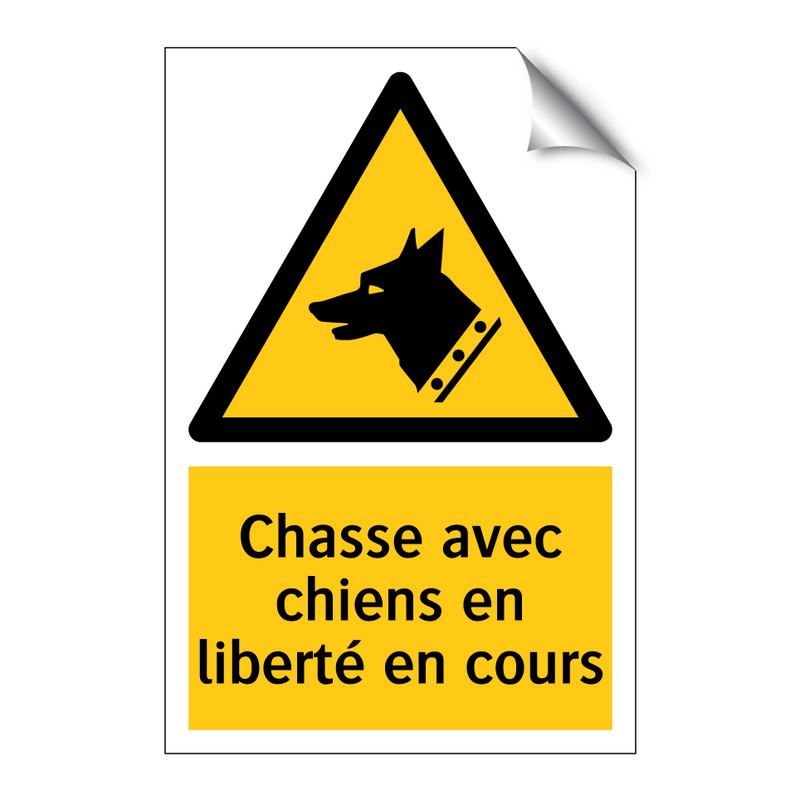 Chasse avec chiens en liberté en cours