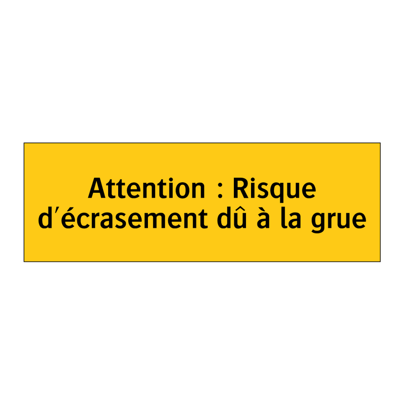 Attention : Risque d'écrasement dû à la grue