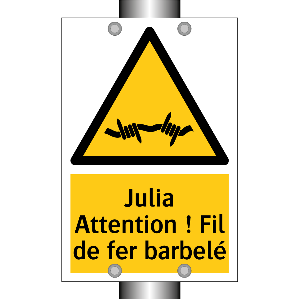 Julia Attention ! Fil de fer barbelé