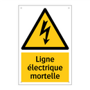 Ligne électrique mortelle