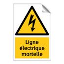 Ligne électrique mortelle