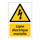 Ligne électrique mortelle