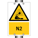 N2