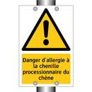 Danger d'allergie à la chenille processionnaire du chêne