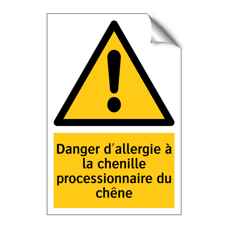 Danger d'allergie à la chenille processionnaire du chêne
