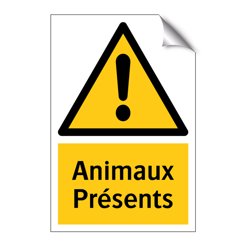 Animaux Présents