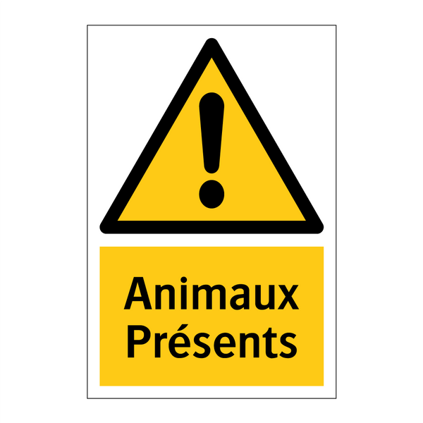 Animaux Présents