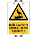 Réduisez votre vitesse, jeunes cigognes !