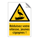 Réduisez votre vitesse, jeunes cigognes !