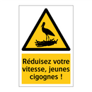 Réduisez votre vitesse, jeunes cigognes !