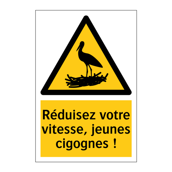 Réduisez votre vitesse, jeunes cigognes !