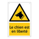 Le chien est en liberté