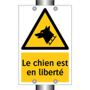 Le chien est en liberté