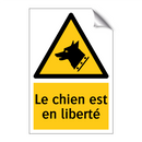 Le chien est en liberté