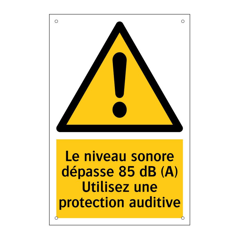 Le niveau sonore dépasse 85 dB (A) Utilisez une protection auditive