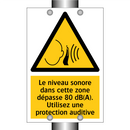 Le niveau sonore dans cette zone dépasse 80 dB(A). Utilisez une protection auditive