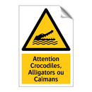 Attention Crocodiles, Alligators ou Caïmans