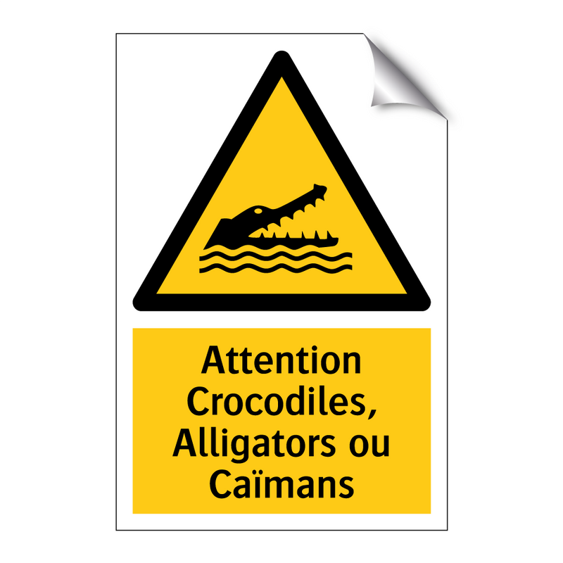 Attention Crocodiles, Alligators ou Caïmans