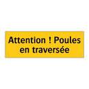 Attention ! Poules en traversée
