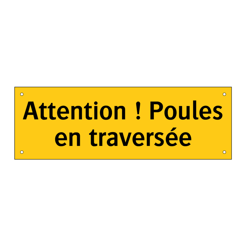 Attention ! Poules en traversée
