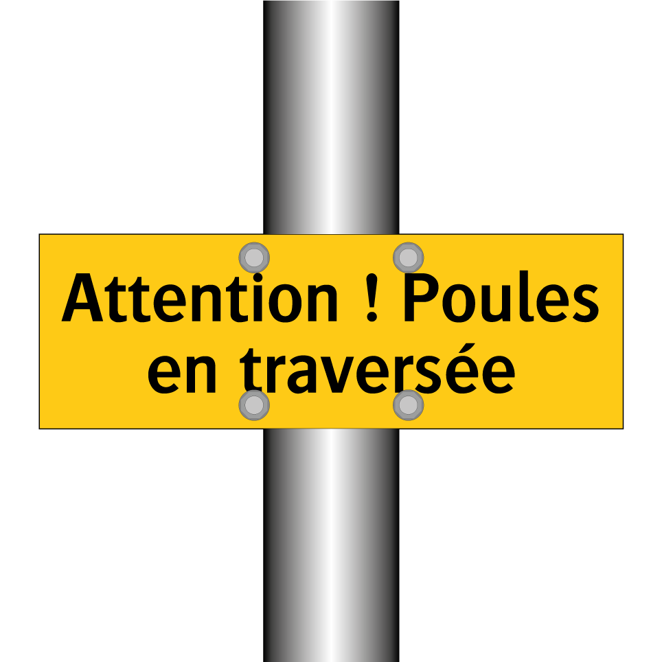 Attention ! Poules en traversée