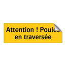 Attention ! Poules en traversée