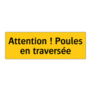 Attention ! Poules en traversée