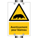 Avertissement pour blaireau