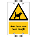 Avertissement pour beagle