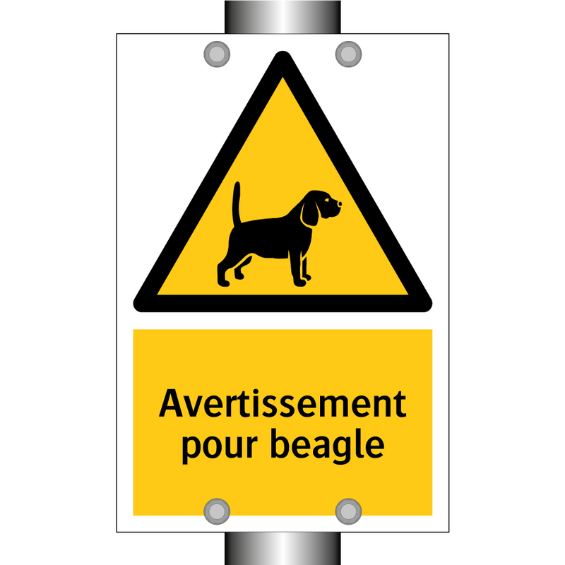 Avertissement pour beagle