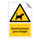 Avertissement pour beagle