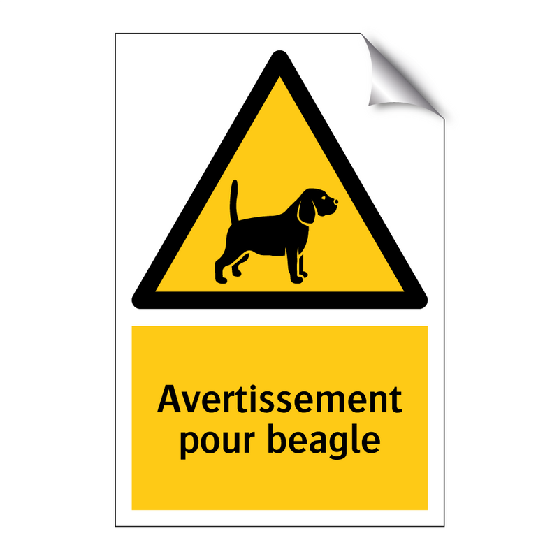 Avertissement pour beagle