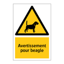 Avertissement pour beagle