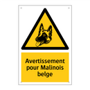 Avertissement pour Malinois belge