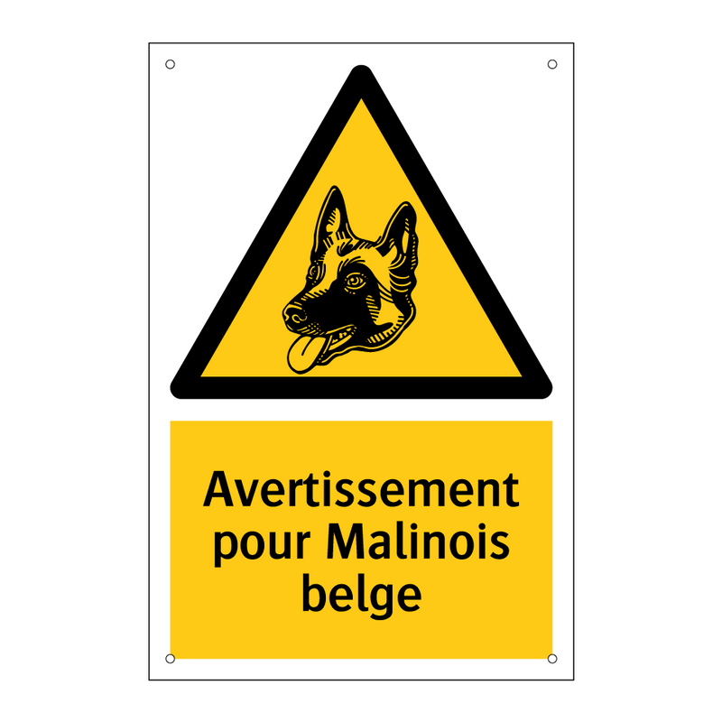Avertissement pour Malinois belge