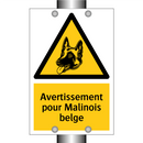 Avertissement pour Malinois belge