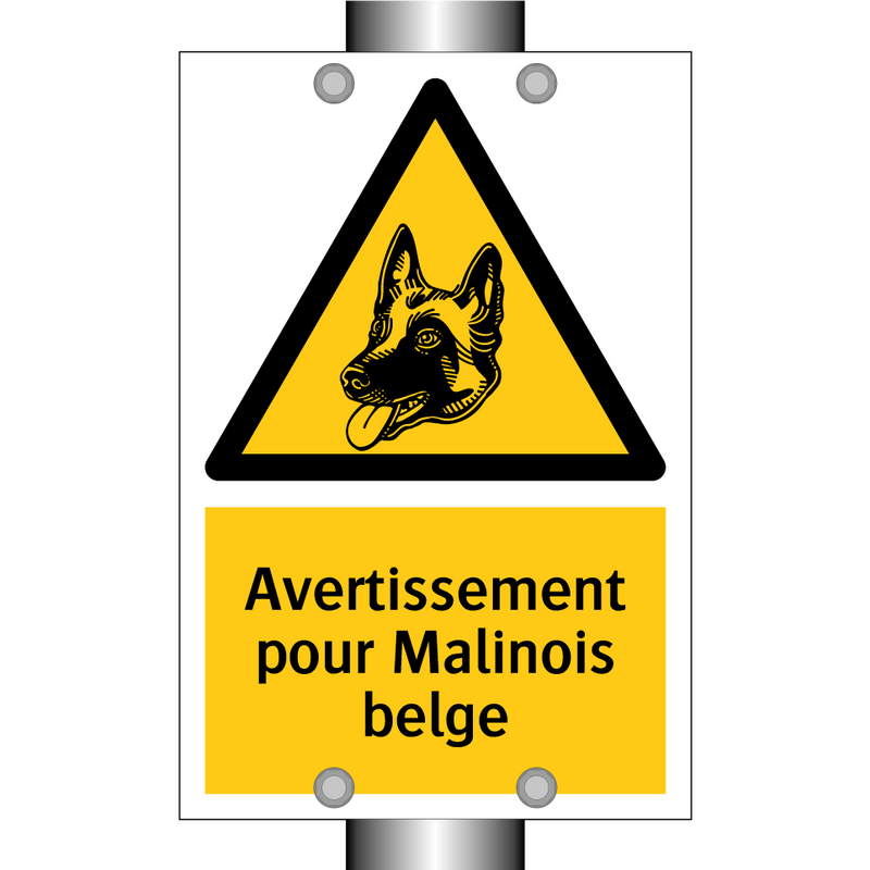 Avertissement pour Malinois belge