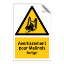 Avertissement pour Malinois belge