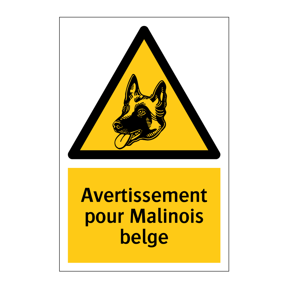 Avertissement pour Malinois belge