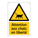 Attention aux chats en liberté