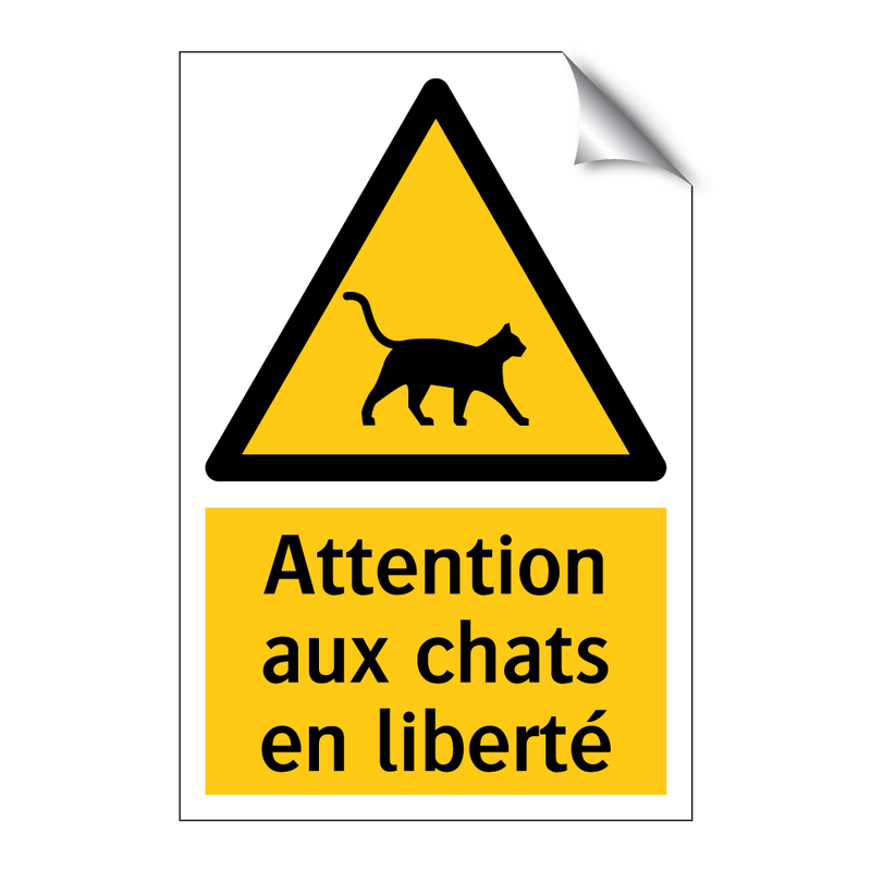 Attention aux chats en liberté
