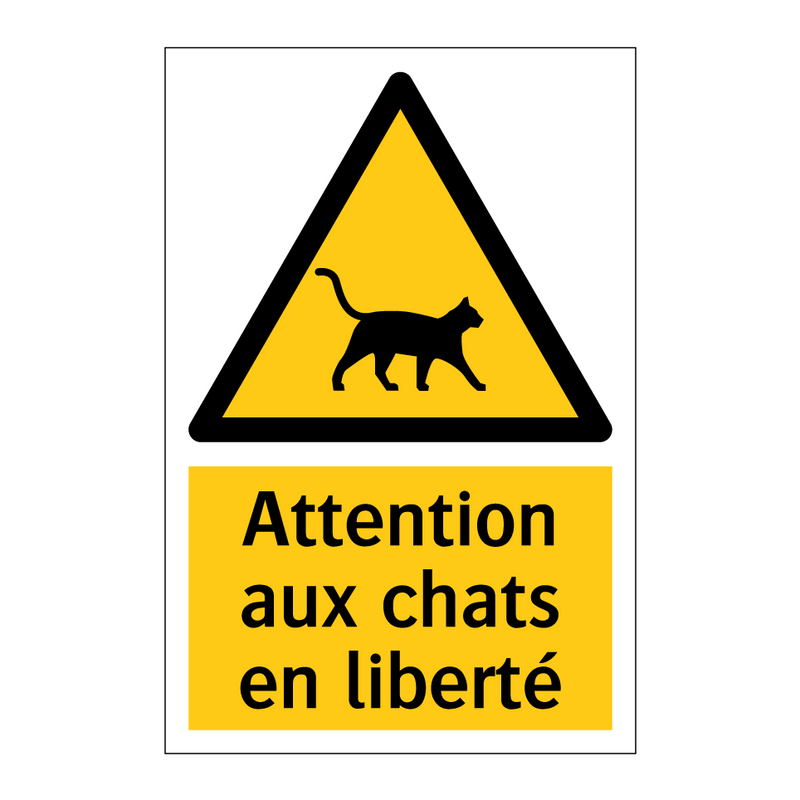 Attention aux chats en liberté
