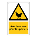 Avertissement pour les poulets
