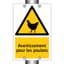 Avertissement pour les poulets