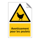 Avertissement pour les poulets