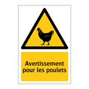 Avertissement pour les poulets